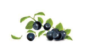Açaí Açaí